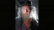 Harry Potter Star Michael Gambon Died: 'हैरी पॉटर' स्टार माइकल गैंबोन का 82 साल की उम्र में निधन, निमोनिया से थे पीड़ित